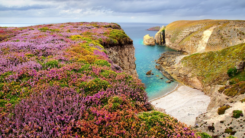 Nature et territoire : zoom sur les Landes de Bretagne